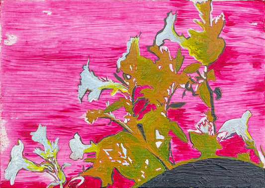 Pot of a Million Bells