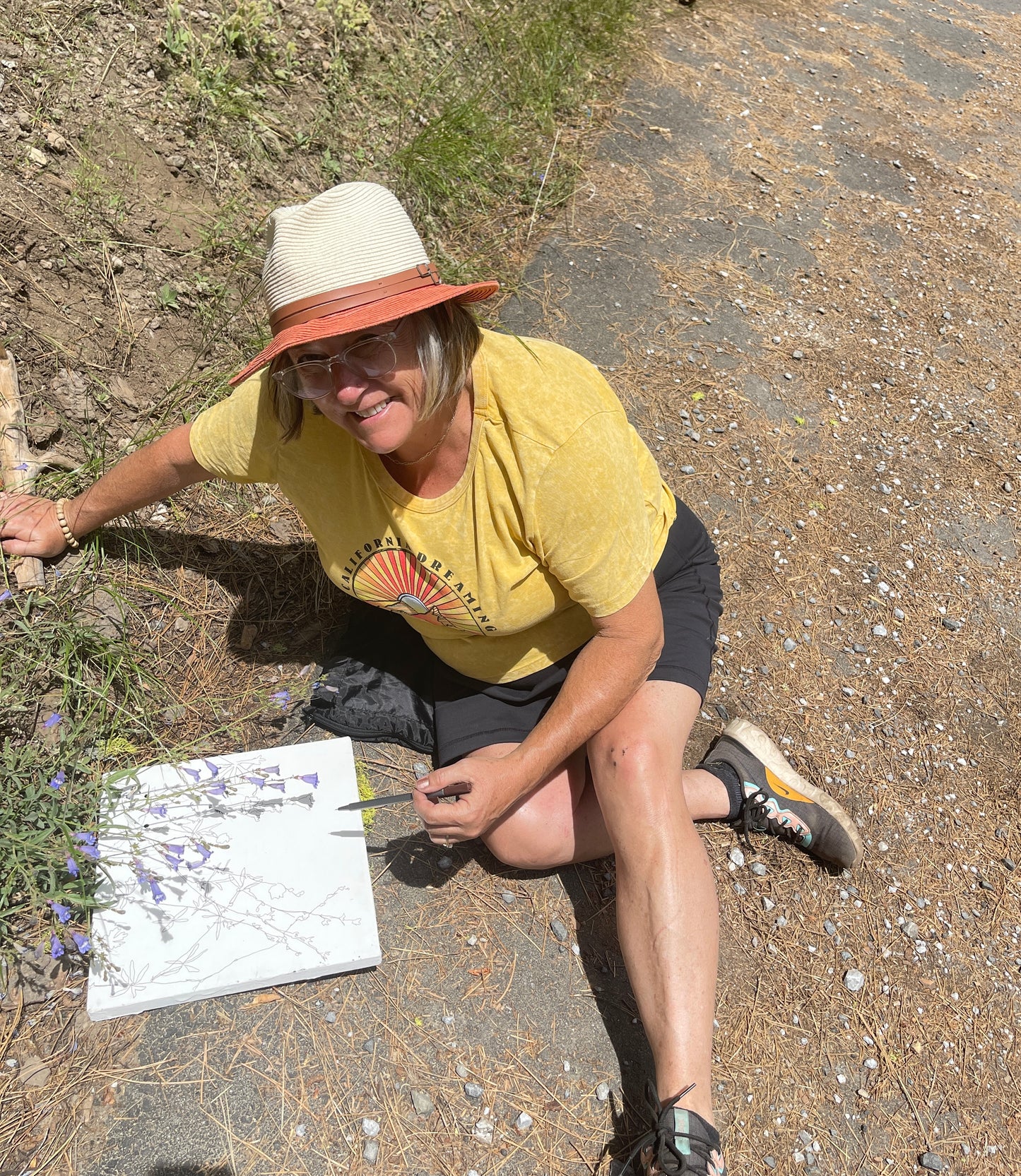 California wildflower collage