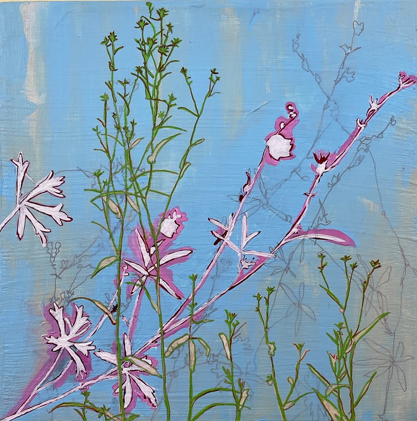 California wildflower collage