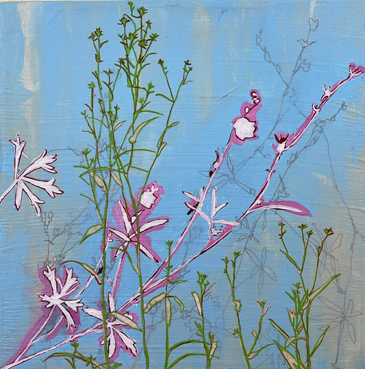 California wildflower collage