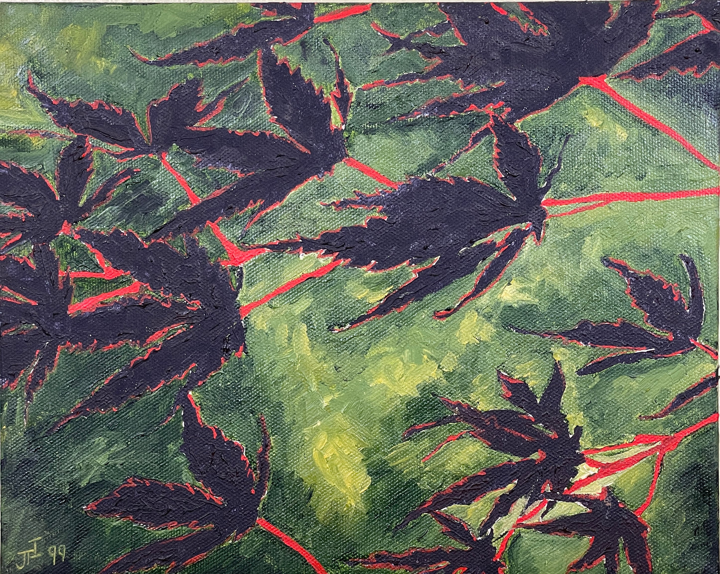Acer Palmatium in the Fall