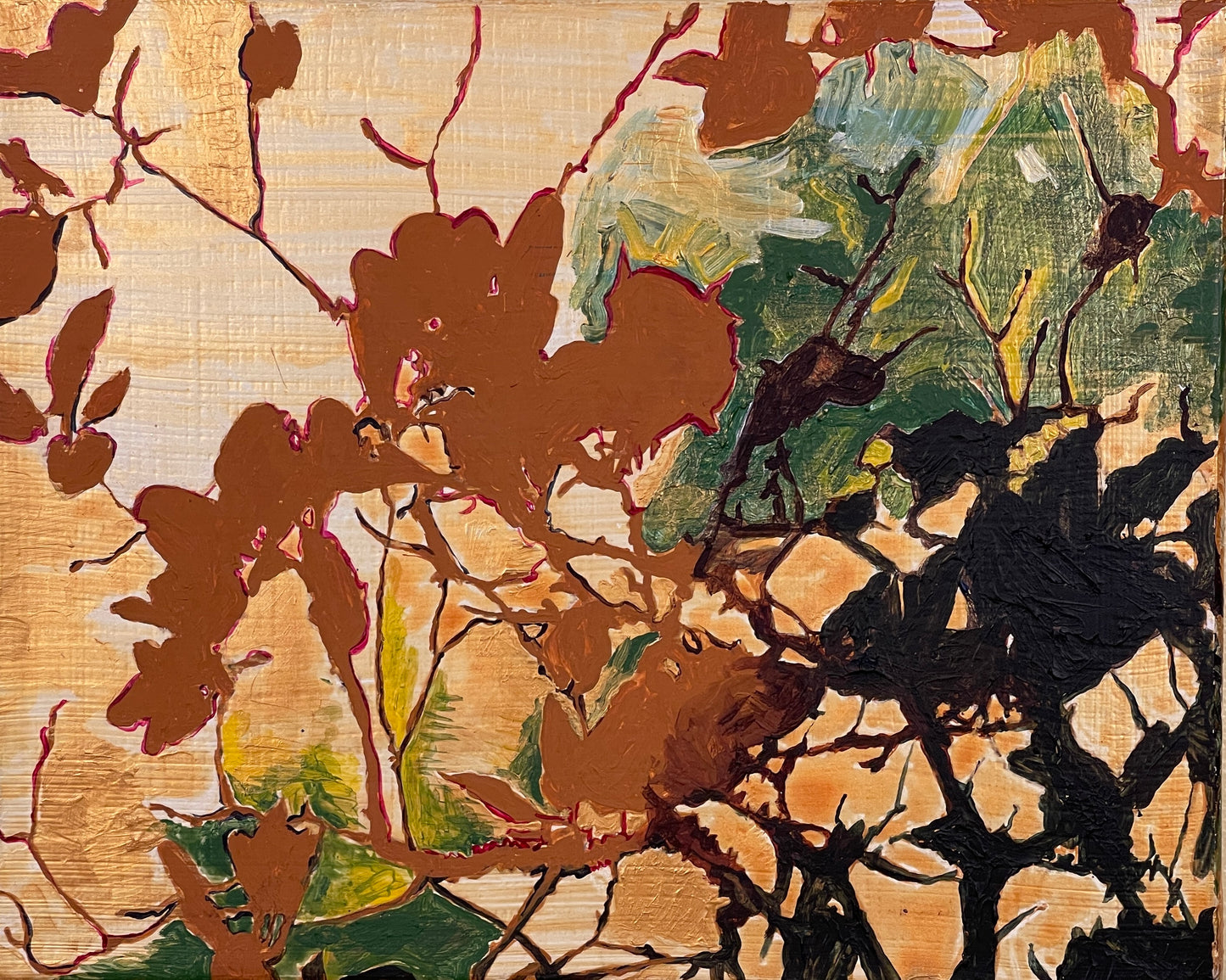 Manzanita shadow