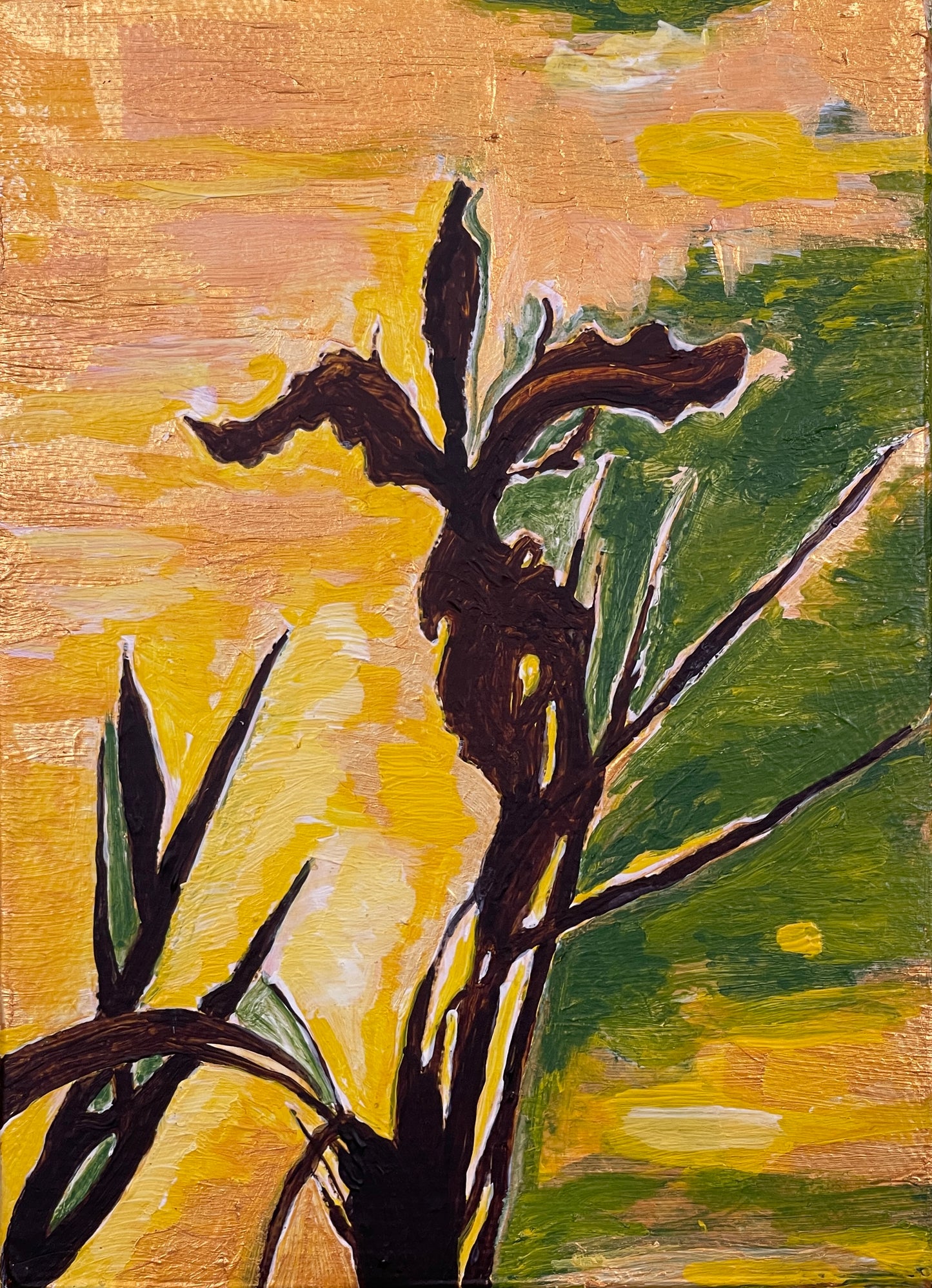 Native iris