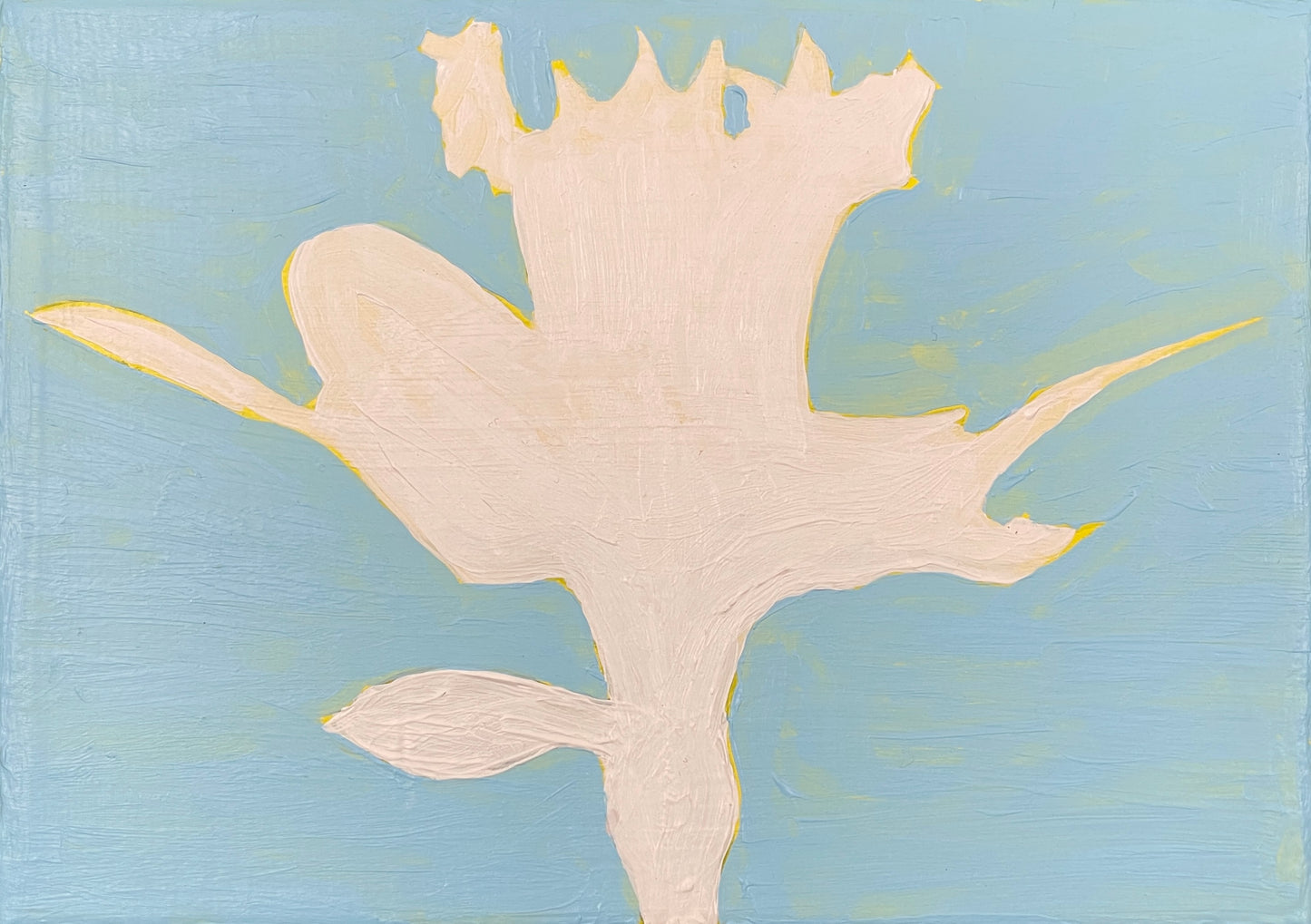 Solitary Daffodil