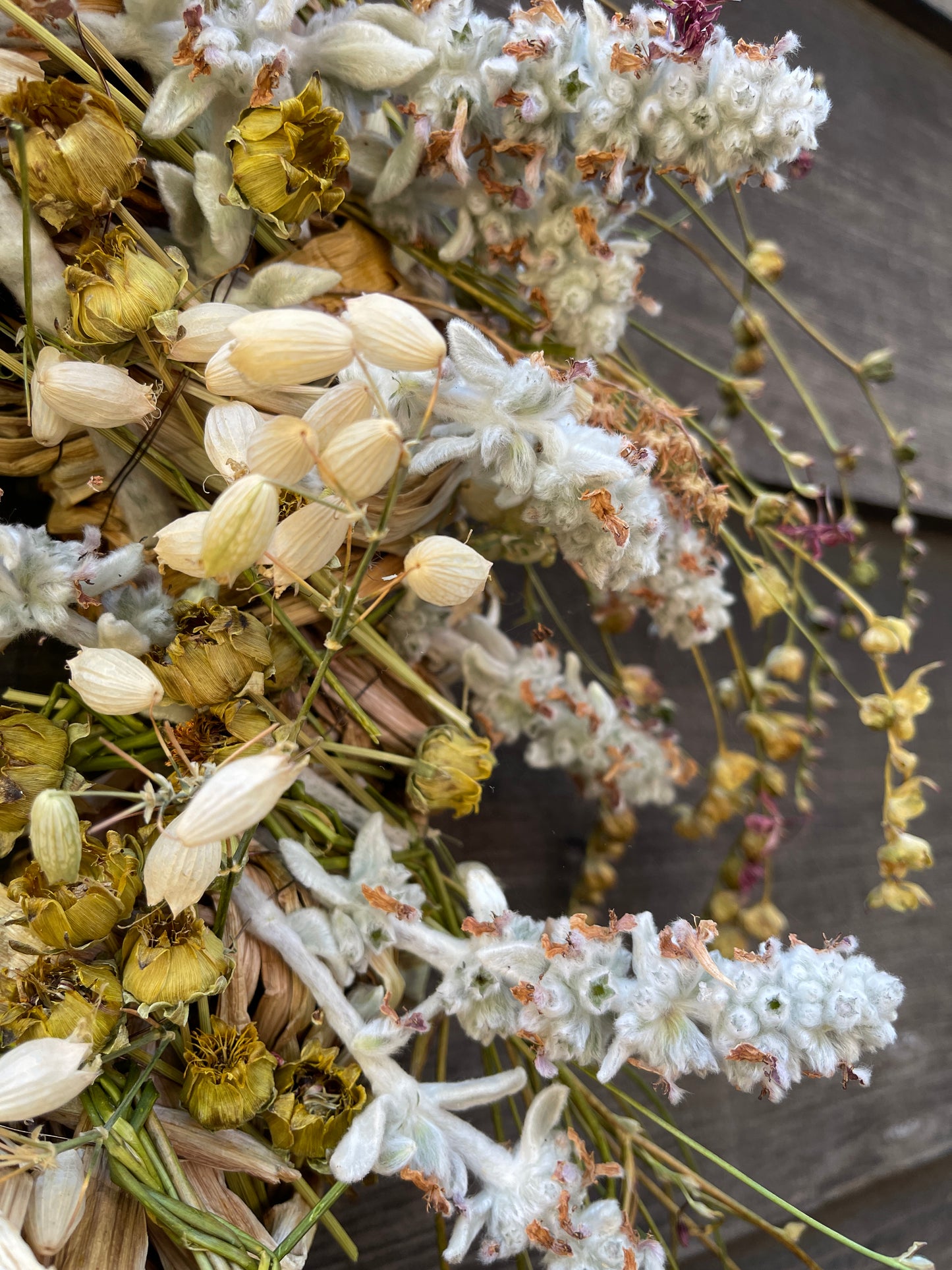 Freesia laxa wreath